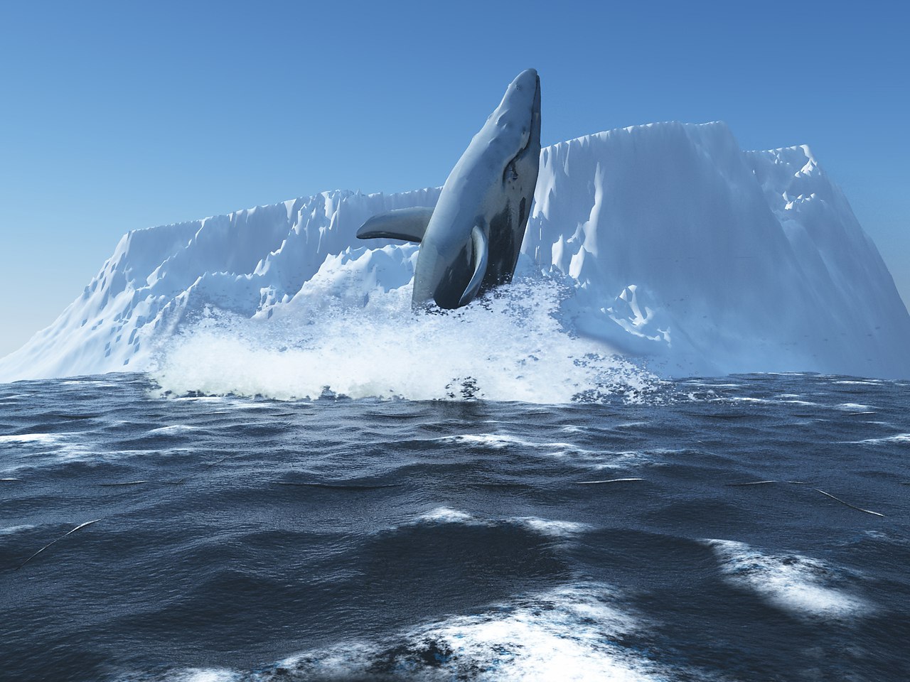 Горбатый кит у берегов Антарктиды